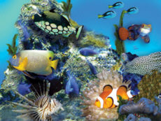 Aquarium du Limousin Aquarium du Limousin