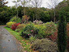 Vgn jardin 06