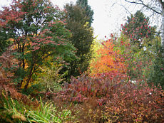 Vgn jardin 07
