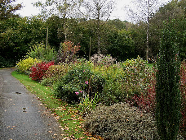 Jardin 06
